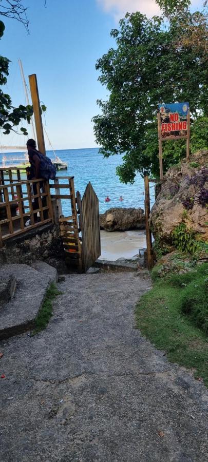 Komfort Getaway Villa At Countrymist Ocho Rios Exterior photo