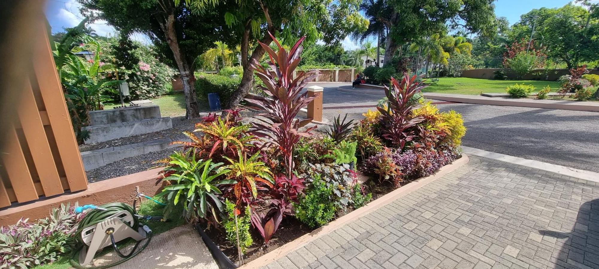 Komfort Getaway Villa At Countrymist Ocho Rios Exterior photo